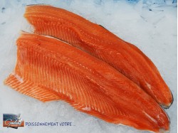 FILET TRUITE ROSE 200/400 AP