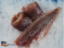 FILET LIEU NOIR 200/400 ANE