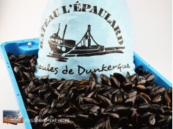 MOULE DE CORDE COTE D'OPALE...