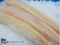 DOS JULIENNE