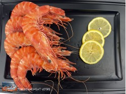 CREVETTES CUITES 10/20