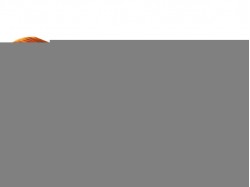 LIMANDE TAILLE 200/300 ANE