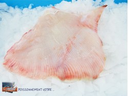 AILE RAIE PELEES 300/500 GR