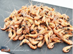 CREVETTES GRISES JUMBO