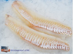 DOS EGLEFIN 200/400 ISLANDE