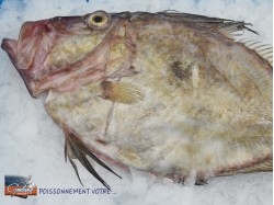 SAINT PIERRE 300/500GR