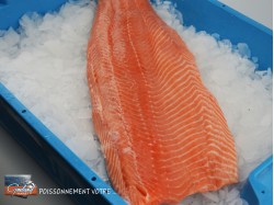 FILET SAUMON 2+ AP DEGR SA...