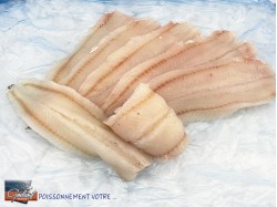 FILET EGLEFIN PAPILLON