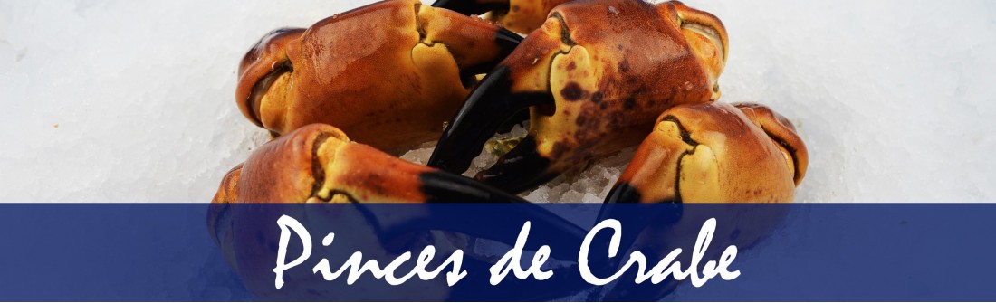 Pinces de Crabe