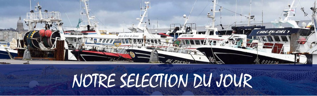 les promotions de votre poissonnier la Boutique du Mareyeur by Goeland Marée poissonnerie